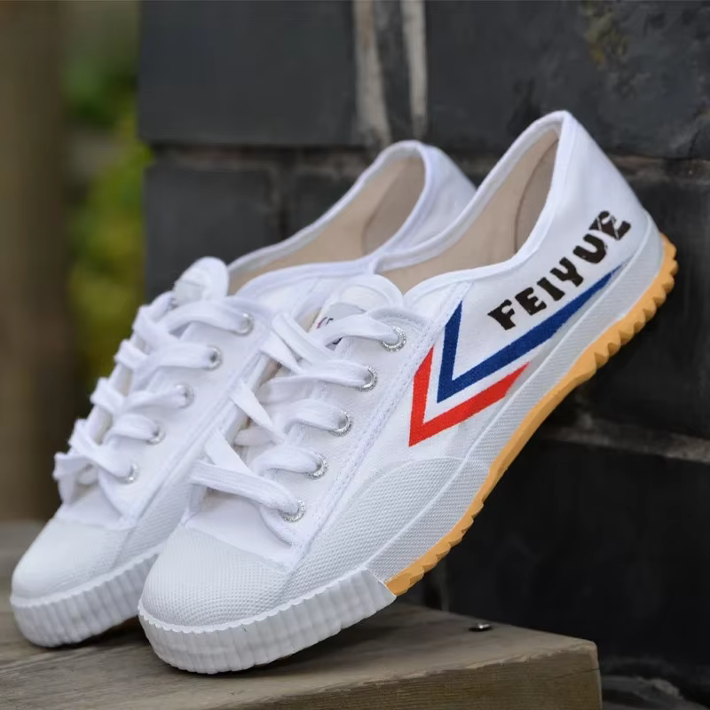 Chaussures d'arts martiaux Feiyue 501 à semelle souple, en toile, pour exercices matinaux, tai-chi, 