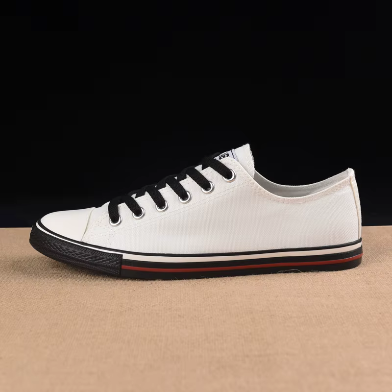 Chaussures de marche décontractées à lacets pour hommes, baskets plates en toile pour garçons, coule
