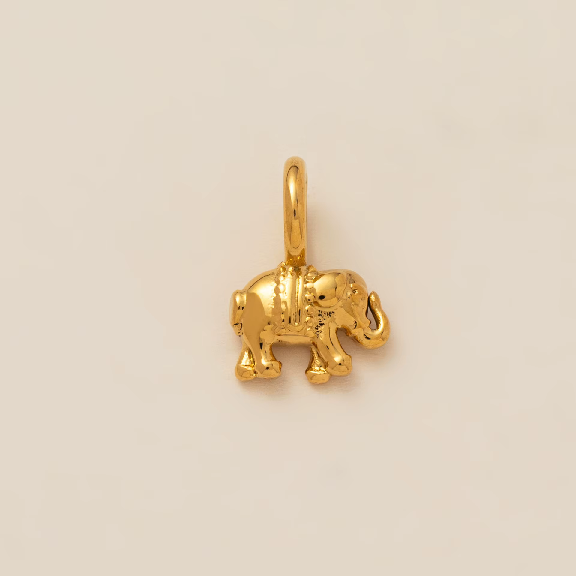 Breloques pour baskets en acier inoxydable 316 plaqué or 18 carats, motifs animaux mignons, accessoi
