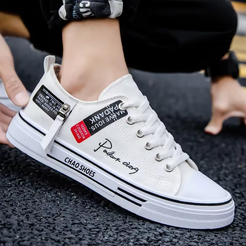 Chaussures en toile pour hommes, respirantes, décontractées, baskets d'extérieur confortables, chaus