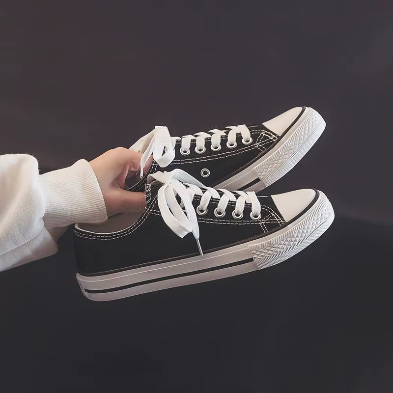 Chaussures en toile pour femmes, chaussures plates à lacets, printemps-automne, originales, nouvelle