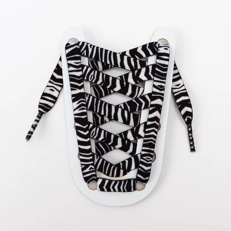 Lacets de chaussures en toile unisexe, motif léopard, imprimé Animal, tigre, zèbre, serpent, créatif