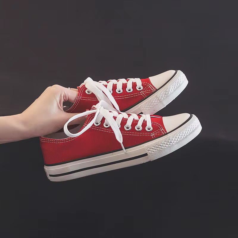 Chaussures en toile pour femmes