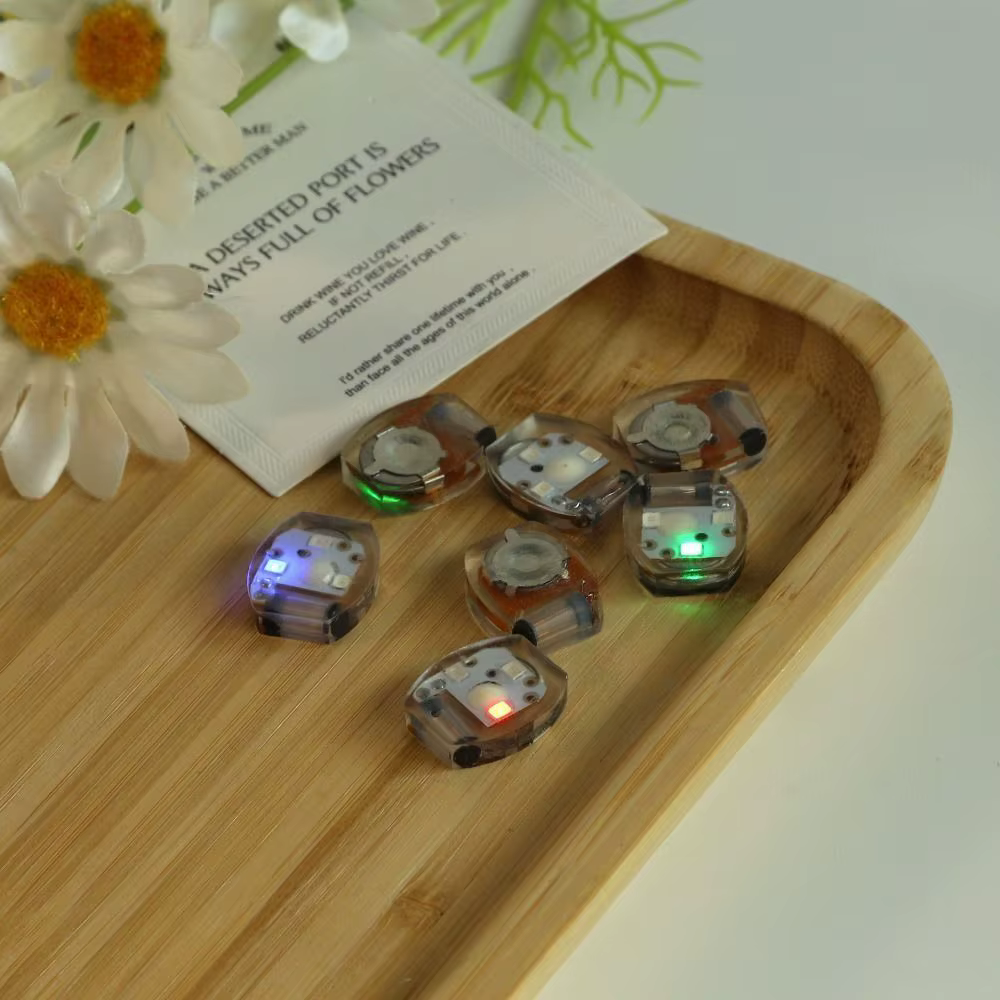 Lumière de chaussure LED Shoous