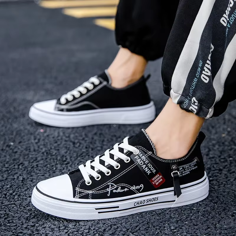 Chaussures en toile pour hommes