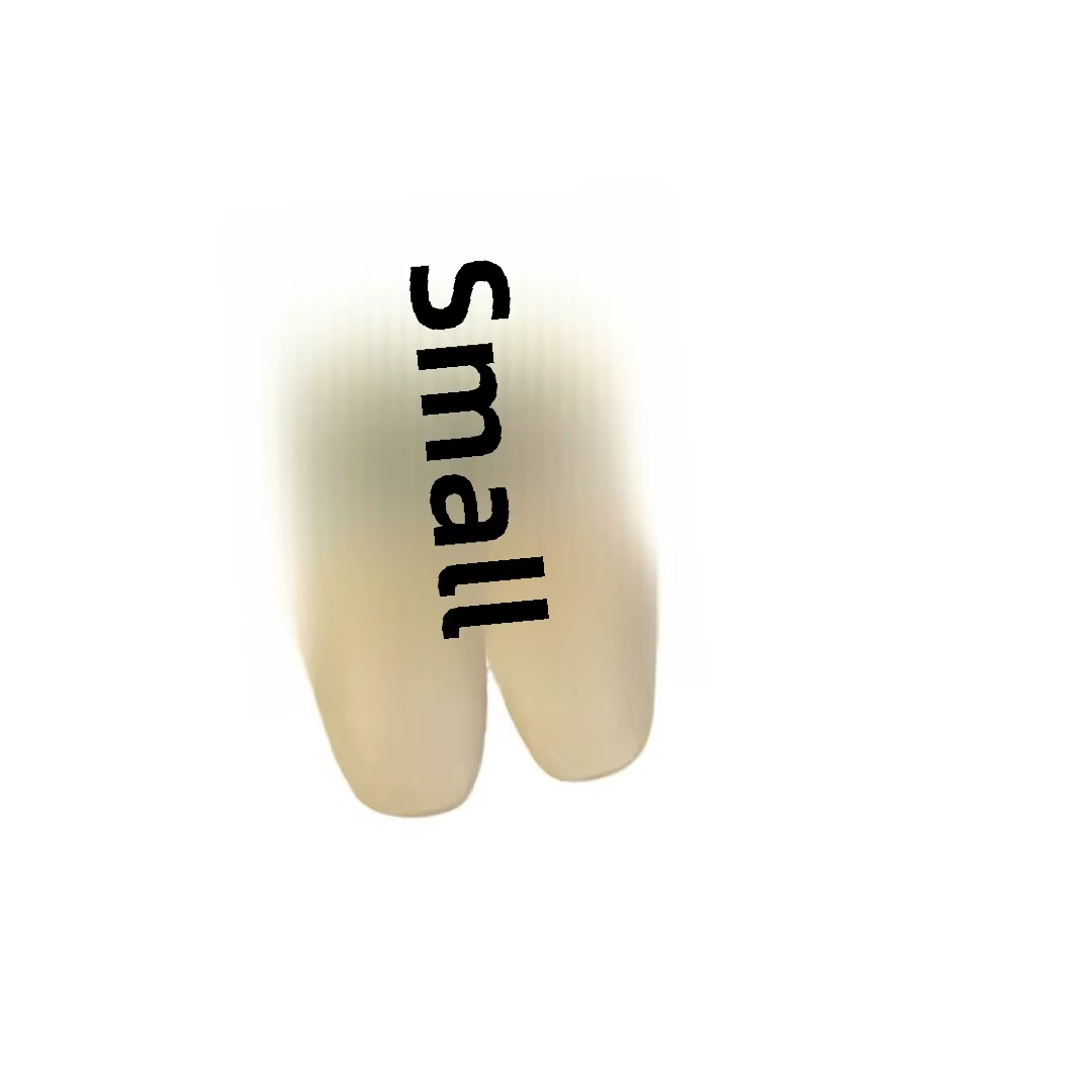 Chaussures de course pour femmes à semelle souple