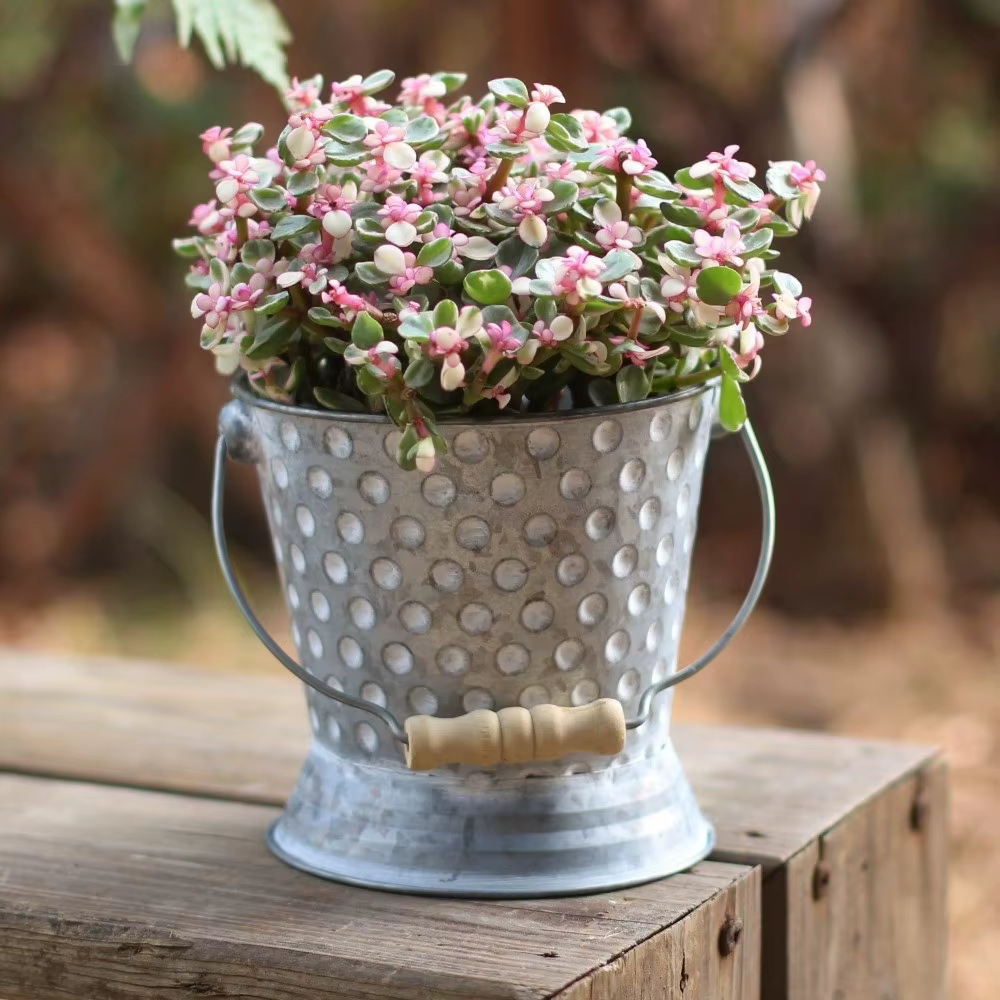 Pot de fleurs en fer forgé de style rustique, texture martelée vintage, vase de ferme avec poignée en bois, pot de fleurs de bureau