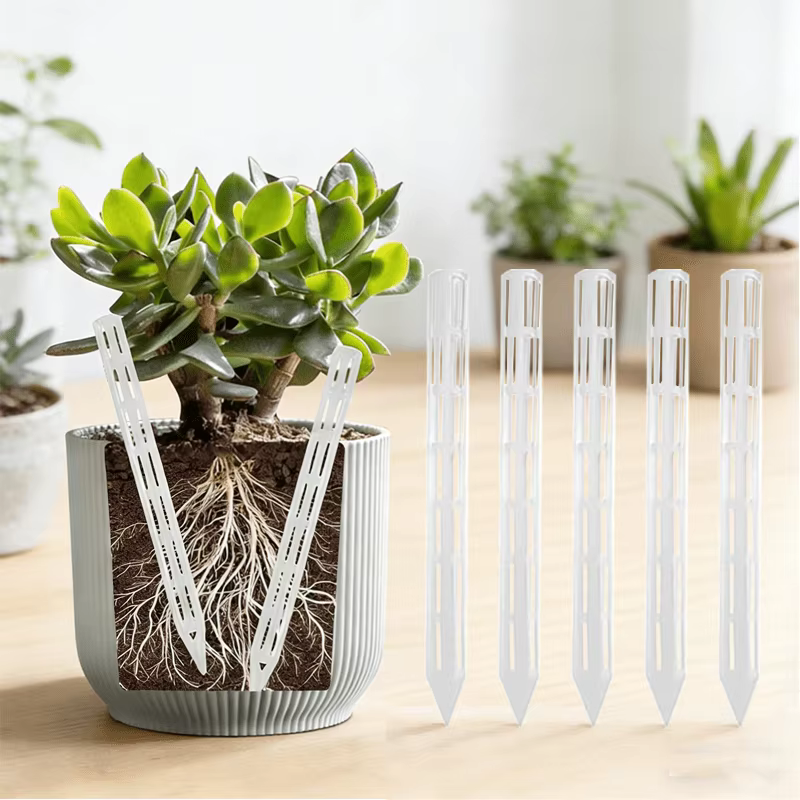 Tuyaux d'aération pour pots - Prévention de la pourriture des racines, empêchement de l'irrigation excessive pour des racines saines. Accessoires pour plantes, adaptés aux pots