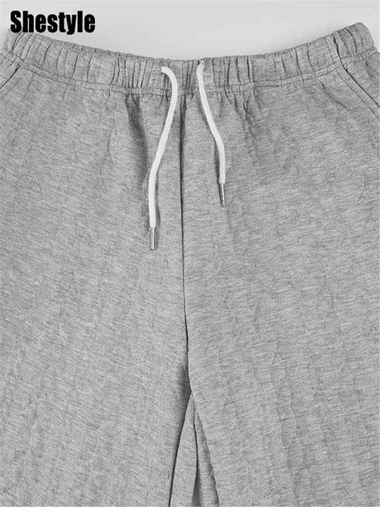 Shestyle gris pantalons de survêtement automne pour les femmes Streetwear cordon Texture Staight décontracté ample minimaliste pantalon à jambes larges 2025