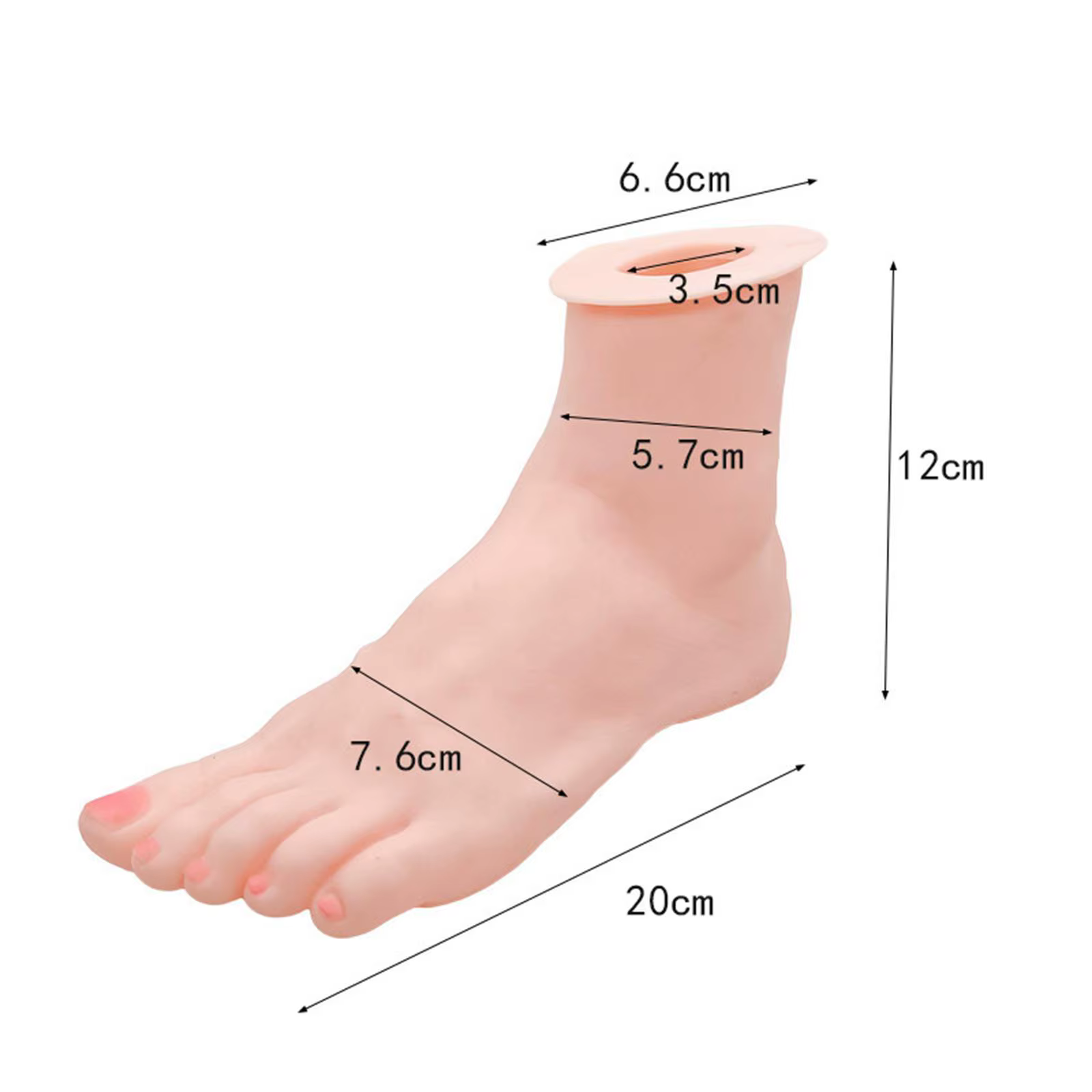 Support de modèle de pied pour femmes