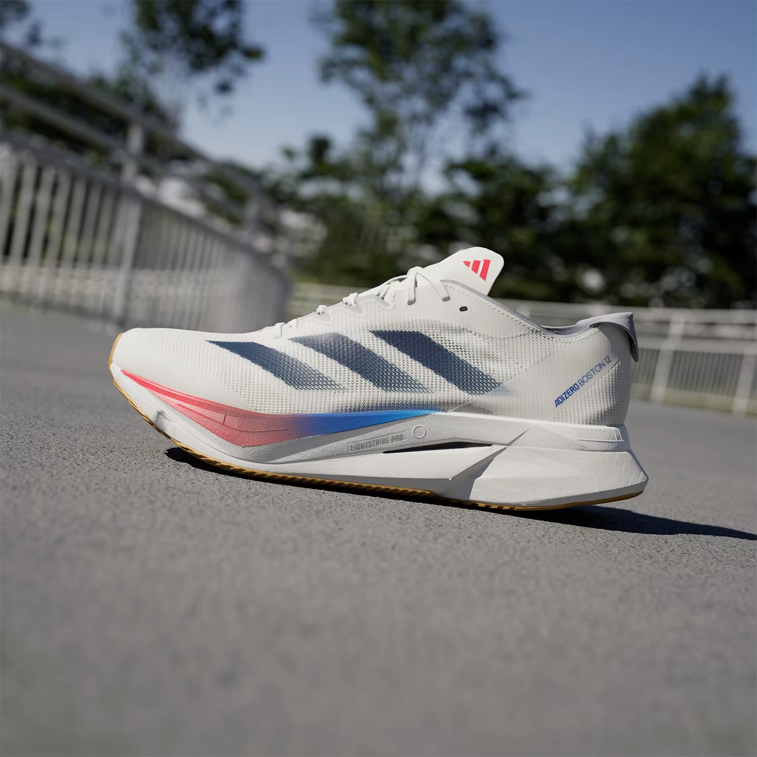 Adidas véritable Adizero Boston 12 chaussures de course à rebond pour hommes JI4476