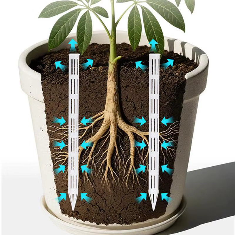 Tubes d'aération pour pots de plantes, 10 pièces, prévention de la pourriture des racines, prévention de l'irrigation excessive pour des racines saines, cycle humide-sèche, outils de jardinage
