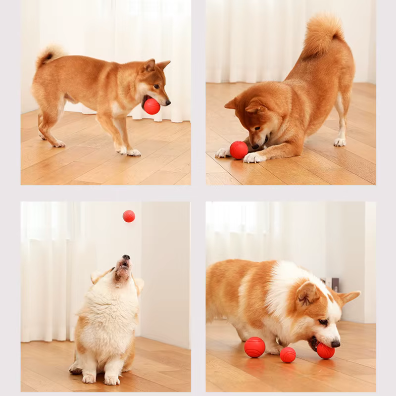 MADDEN S-XL TANSolid Caoutchouc IkBouncy Balle Morsure Degré Boucle Indestrucemballages Chien Formation